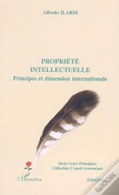 Propriete Intellectuelle ; Principes Et Dimension Internationale