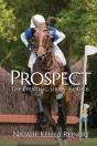 Prospect - Preview