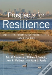 Capa do artigo Prospects For Resilience