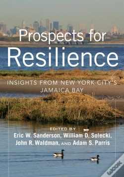 Capa do artigo Prospects For Resilience