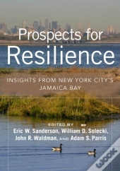Prospects For Resilience