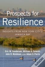 Prospects For Resilience