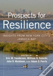 Capa do artigo Prospects For Resilience