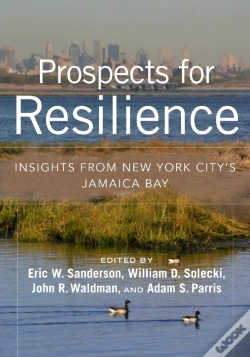 Capa do artigo Prospects For Resilience