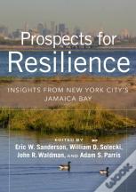 Prospects For Resilience