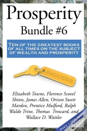 Capa do artigo Prosperity Bundle #6