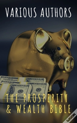 Capa do artigo Prosperity & Wealth Bible