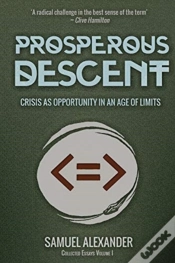 Capa do artigo Prosperous Descent