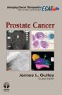 Prostate Cancer - Preview