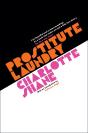 Prostitute Laundry - Preview