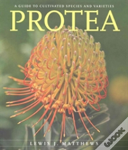 Protea