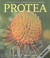 Protea