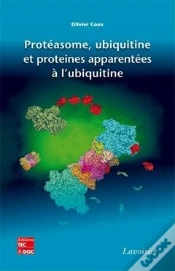 Capa do artigo Proteasome Ubiquitine Et Proteines Apparentees A L