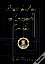 Capa do artigo Proteção De Anjos Em Determinados Caminhos