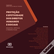Capa do artigo Proteção E Efetividade Dos Direitos Humanos E Sociais