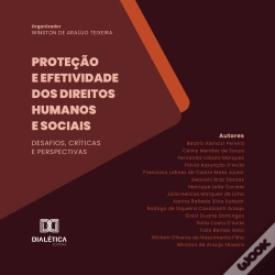 Capa do artigo Proteção E Efetividade Dos Direitos Humanos E Sociais