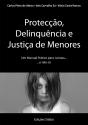 Protecção, Delinquência e Justiça de Menores - Preview