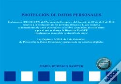 Capa do artigo Protección De Datos Personales. Esquemas