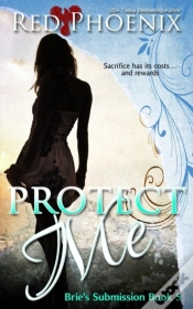 Capa do artigo Protect Me