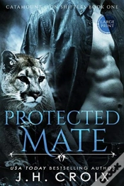 Capa do artigo Protected Mate