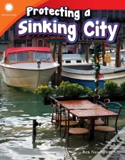 Capa do artigo Protecting A Sinking City