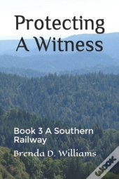 Protecting A Witness: Book 3 A Southern