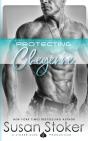 Protecting Cheyenne - Preview