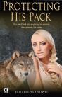 Protecting His Pack - Preview