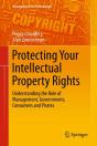 Protecting Your Intellectual Property Rights - Preview