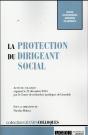 Protection Du Dirigeant Social (La) - Preview