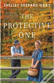 Capa do artigo Protective One