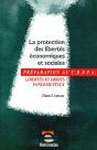 Protect.Libertes Econ.Sociales - Preview