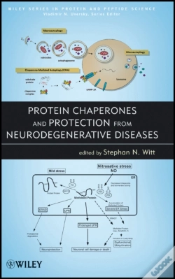 Capa do artigo Protein Chaperones And Protection From Neurodegenerative Diseases