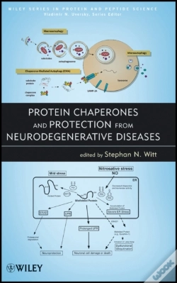 Capa do artigo Protein Chaperones And Protection From Neurodegenerative Diseases