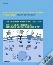 Protein Kinase Inhibitors As Sensitizing Agents For Chemotherapy
