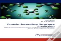 Protein Secondary Structure Prediction