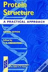 Protein Structure