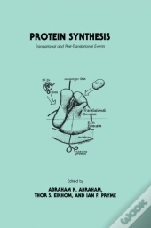 Protein Synthesis