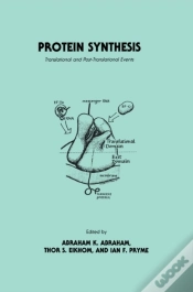 Capa do artigo Protein Synthesis