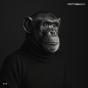 Protomensch - Vinil - Preview