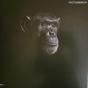 Protomensch - Vinil - Preview