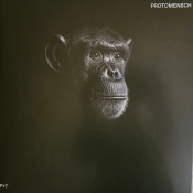 Capa do artigo Protomensch - Vinil