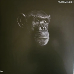 Capa do artigo Protomensch - Vinil