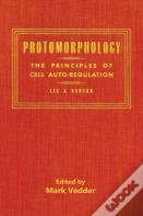 Protomorphology