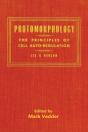 Protomorphology - Preview