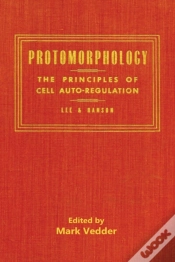 Capa do artigo Protomorphology