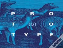 Prototype 6