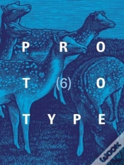 Capa do artigo Prototype 6
