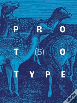 Capa do artigo Prototype 6