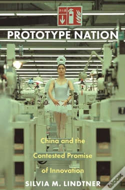 Capa do artigo Prototype Nation
